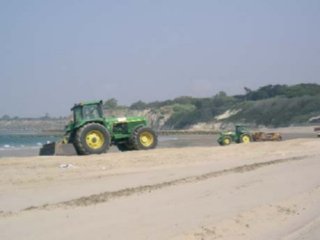 LIMPIEZA PLAYAS 01
